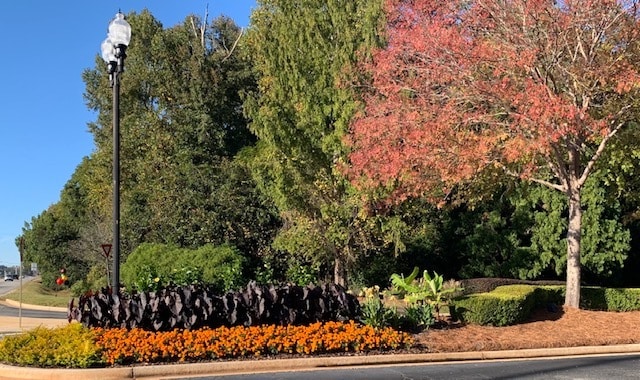 Lullwater at Bass | Luxury Apartment Homes Located in Macon, GA