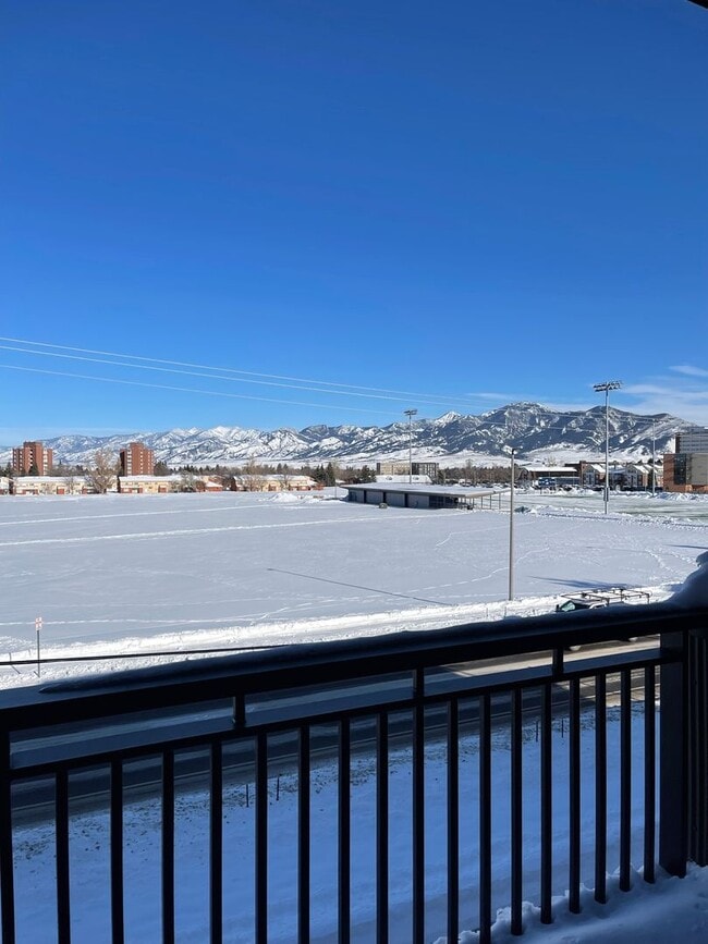 Photo - NEW! 2 Bedroom on campus!