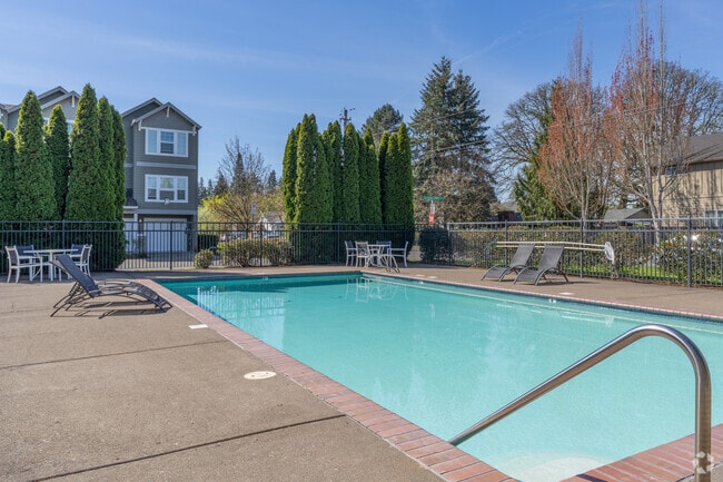 Pool - Amber Court Apartments