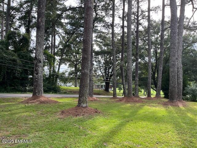 Photo - 3509 Causeyville Rd