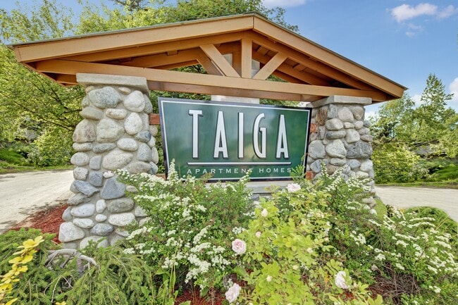 Taiga