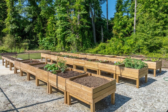 Community Garden