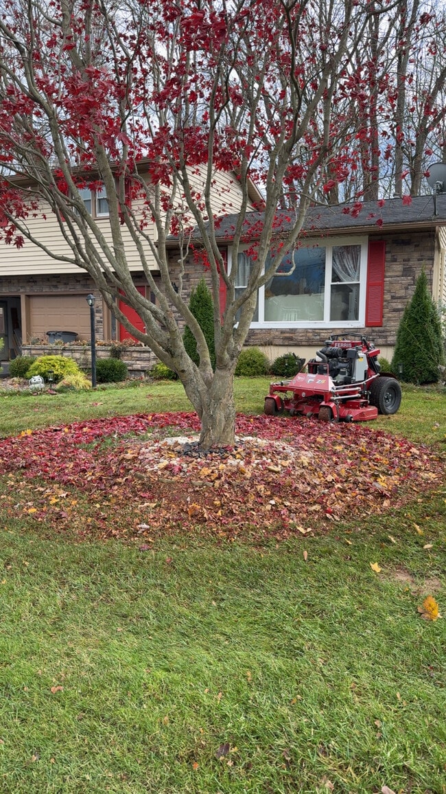 Photo - 141 Riverdale Rd