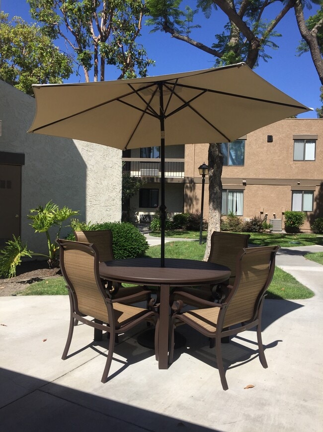 Patio Area