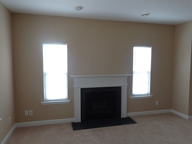 Photo - 4718 Eastwycke Place Dr