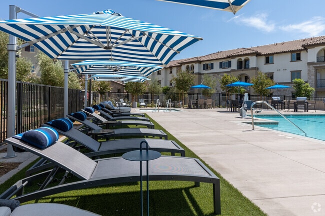 Lounge Chairs