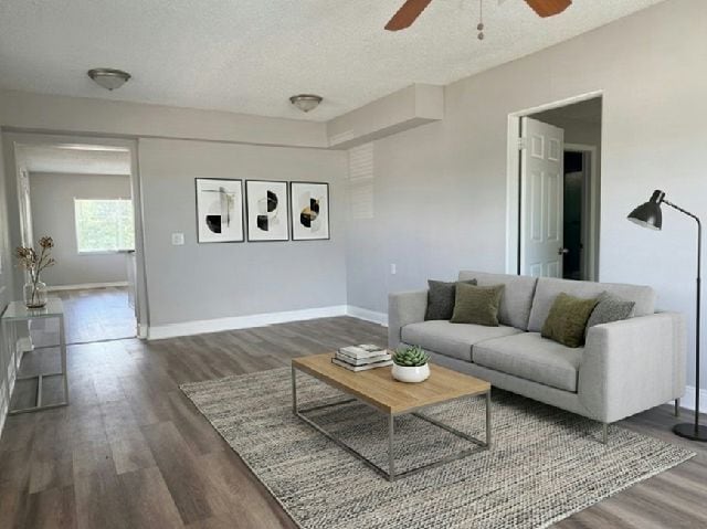 Photo - 10675 Seminole Blvd