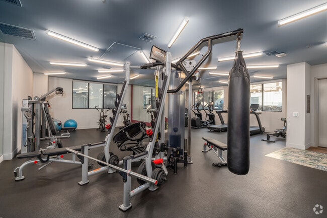 Full Suite Performance Fitness Center