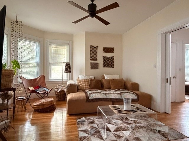 Photo - 52 Hillsdale Rd