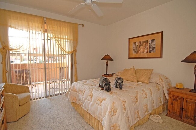 Summerlin Villas