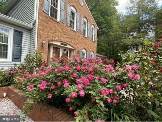 Photo - 7801 Cliffside Ct