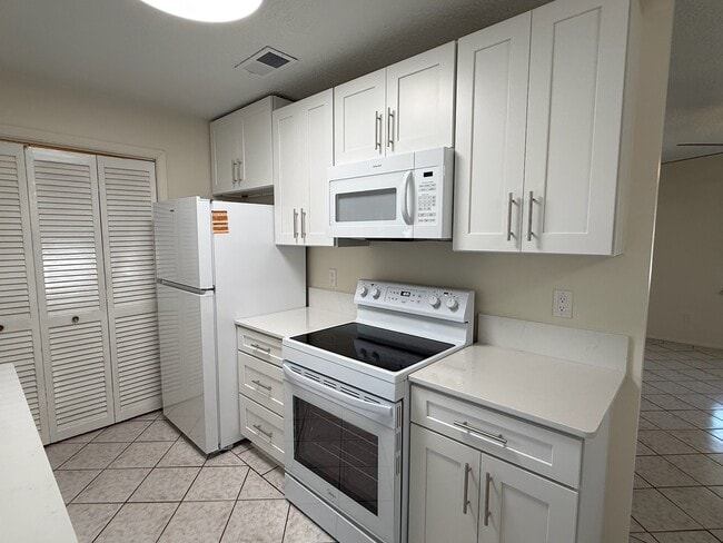 Kitchen 2 - 209 Phoenetia Dr