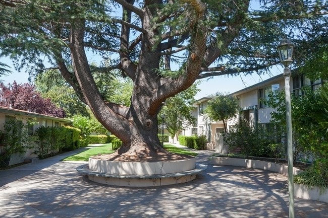 Photo - Pinewood Garden Apartments