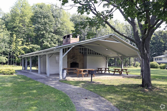 Picnic Area