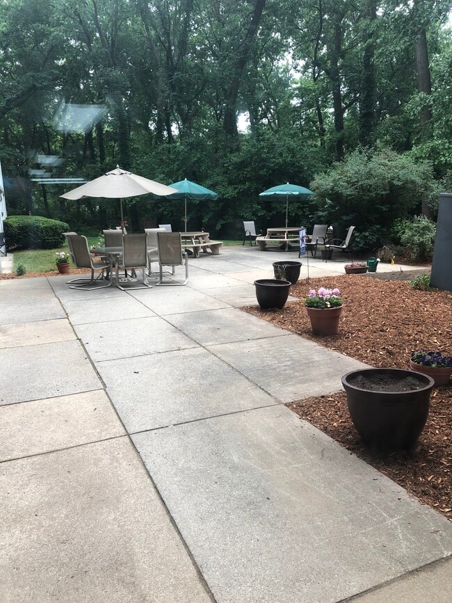 Photo - Pine Oak Apartments