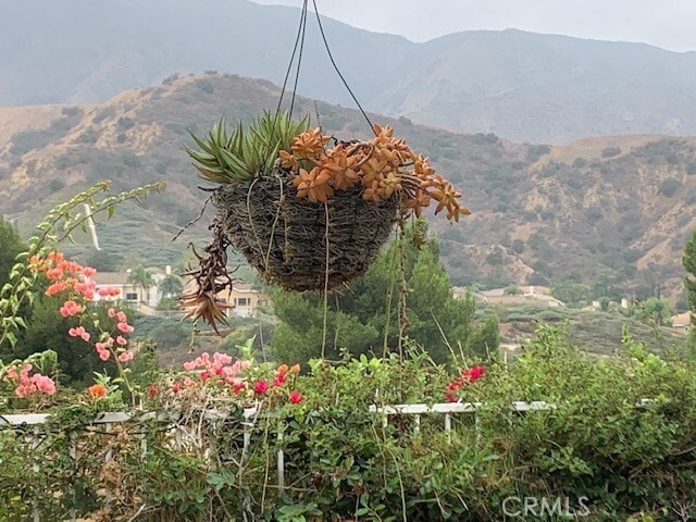 Photo - 3350 Deaver Dr