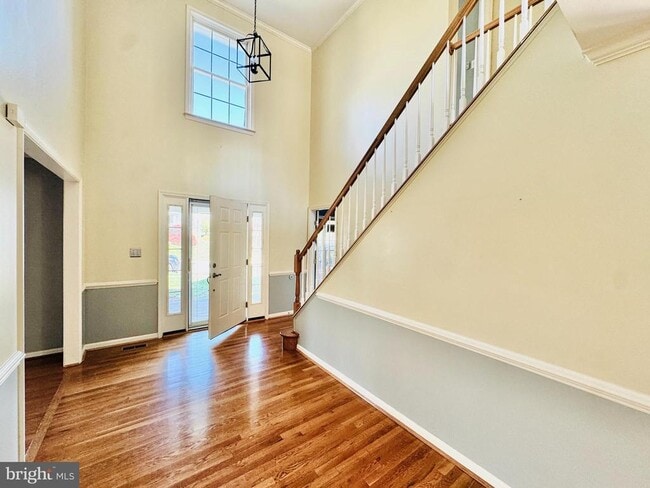 Photo - 28 Scotland Cir