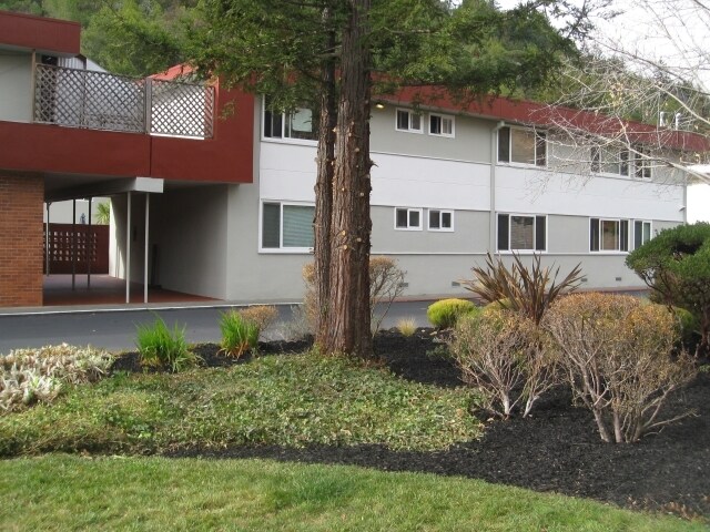 Photo - Fairfax Woods