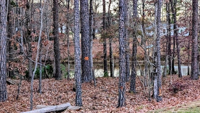 Photo - 1024 Red Roses Ave