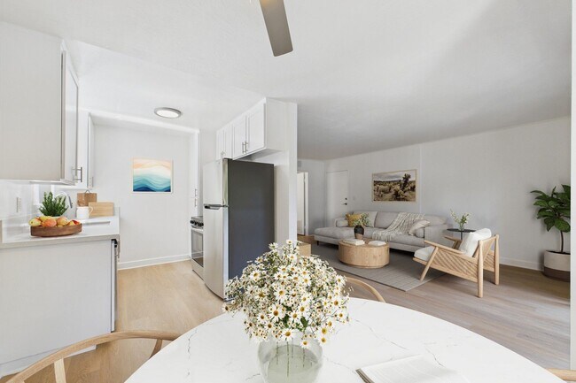 Photo - Willis Park South