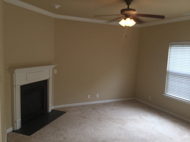 Photo - 2128 Branch Oak Trl