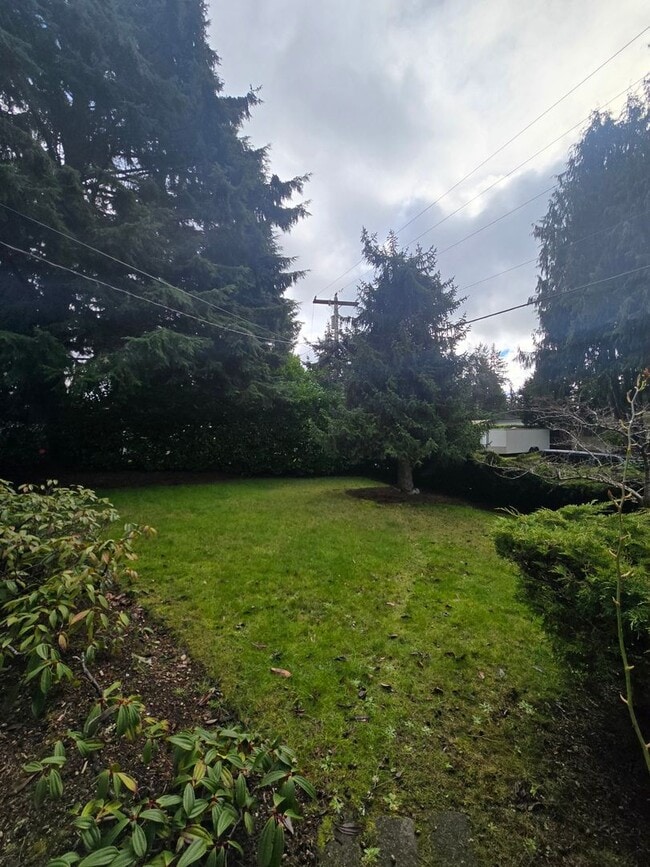 Photo - Beautiful 3 bedroom on large lot.