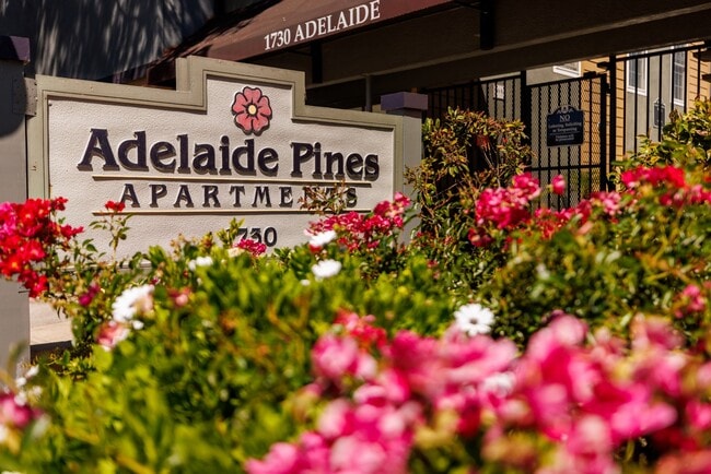 Adelaide Pines