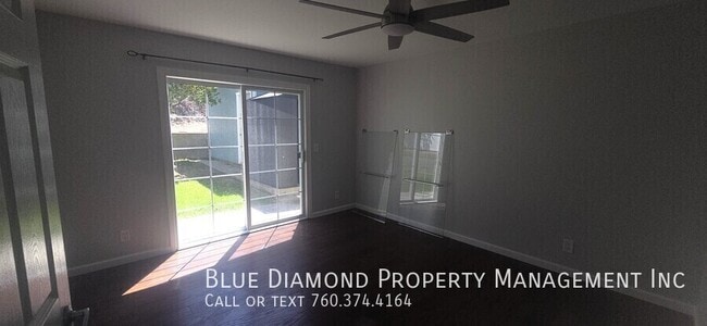 241 Delphinium-