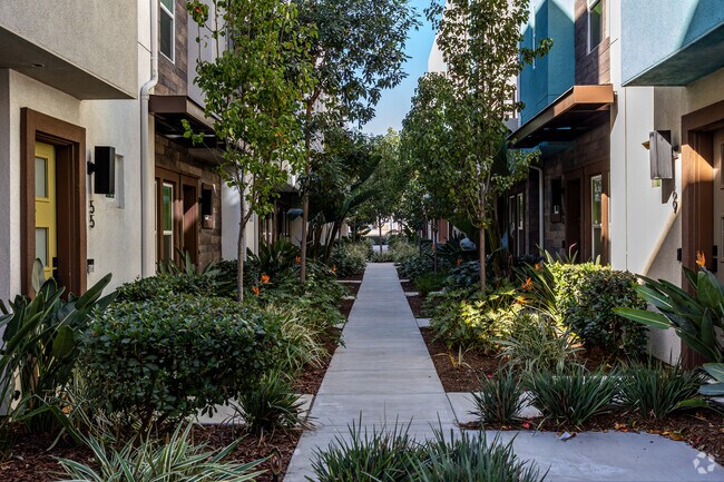 Photo - Lewis + Mason