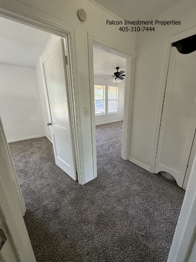 Photo - 1431 NE 29th St