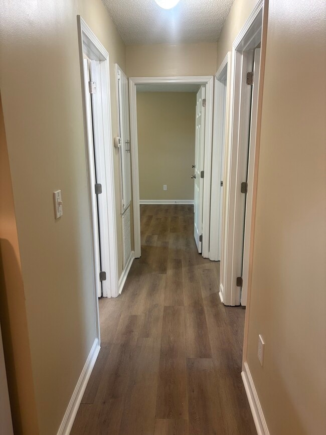 Pasillo con suelo, puertas y pintura nuevos. - 1039 N Lakeshore Dr