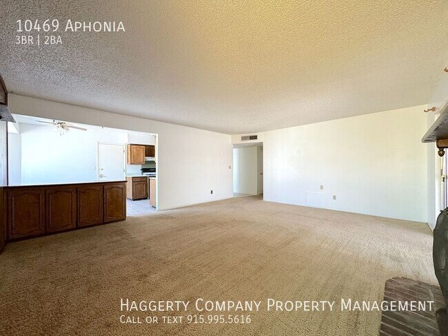 Photo - 10469 Aphonia-