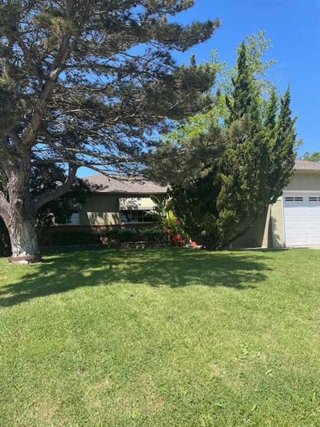 Charming 3 Bedroom Home on a Quiet Tree-Li... - Charming 3 Bedroom Home on a Quiet Tree-Li...