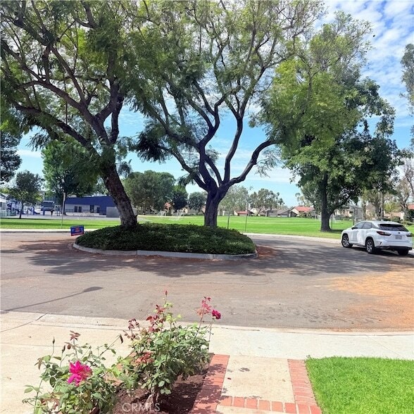 Photo - 46 Christamon W