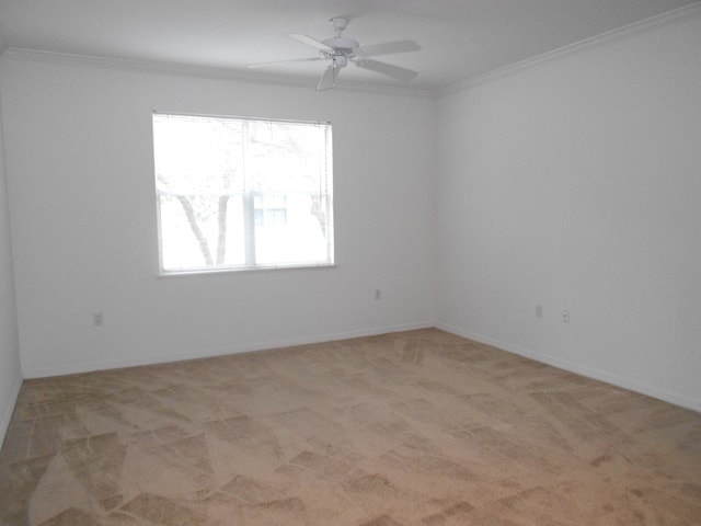 Photo - Maitland - 2 Bedroom, 2 Bathroom - $1,845.00
