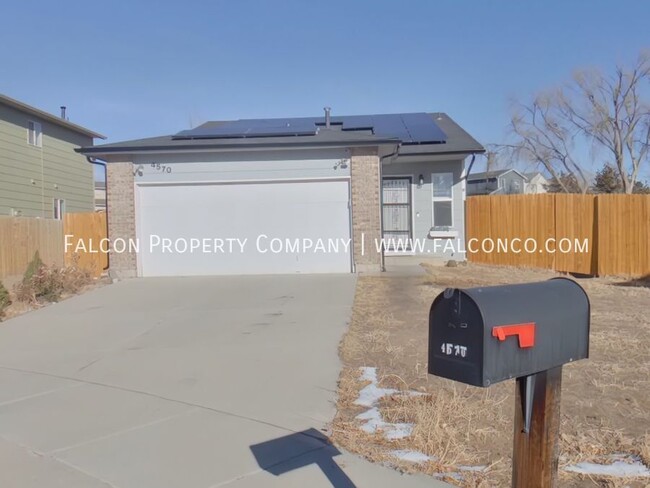 Fantastic Home Widefield! - Available Febr... - Fantastic Home Widefield! - Available Febr...