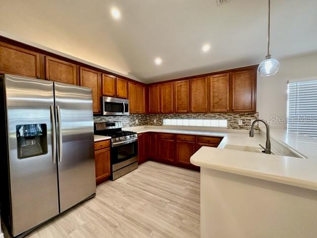 33356 Irongate Dr
