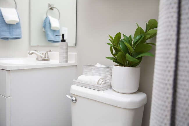 Photo - St. Andrew's Apartments