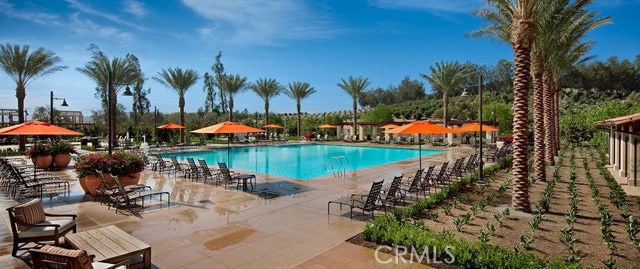 Photo - 8 Last Bloom