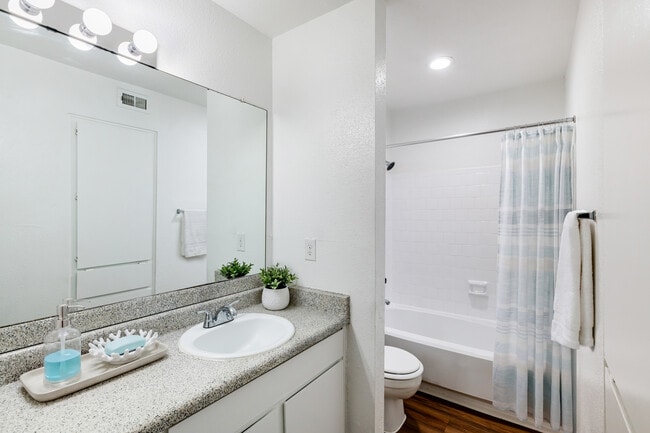 Studio Bathroom - 507SF - Walnut Terrace Apartments