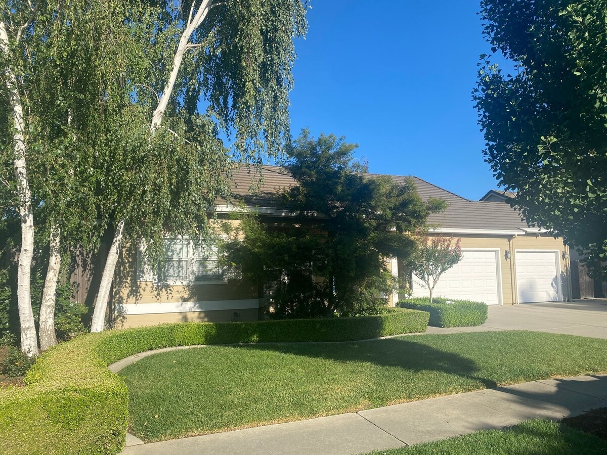 Sneak Peak!! - Sneak Peak!! House