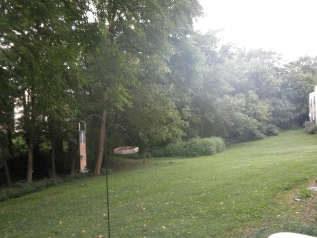 Photo - Mariemont Woods