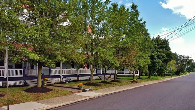 Leafy street