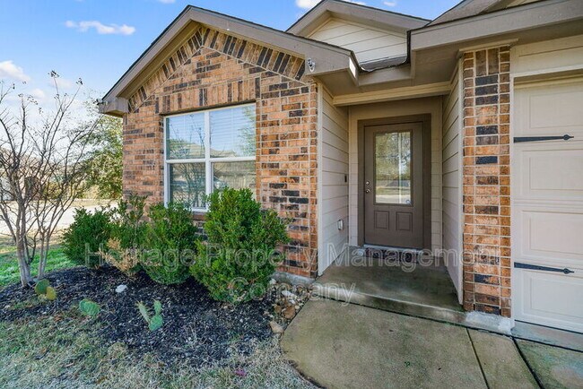 Photo - 15502 Gray Catbird