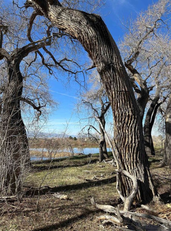 Photo - 68 Martinez Rd