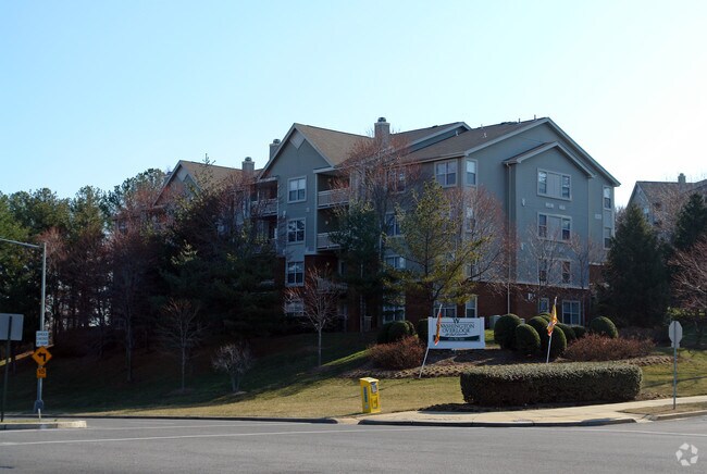 Washington Overlook - Washington Overlook