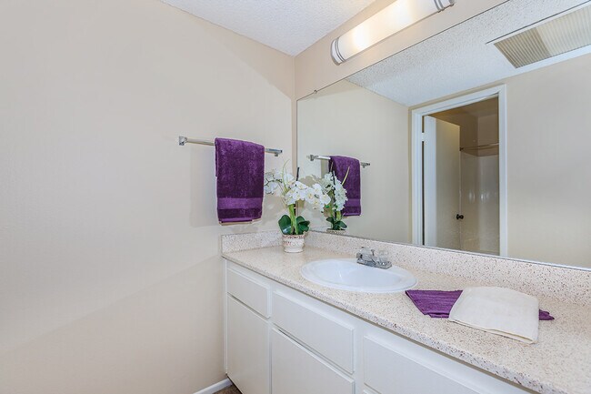 Park City Apartment Homes