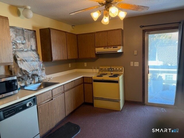 Building Photo - 483 Chestnut Hill Ave