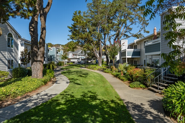 Alternate - Marion Park