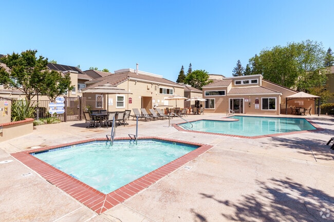 Pool and Spa